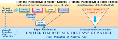 All the laws of nature are unified